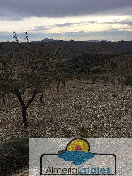 For sale of land in Vélez-Rubio