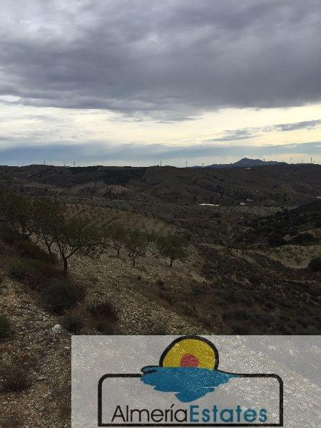 For sale of land in Vélez-Rubio