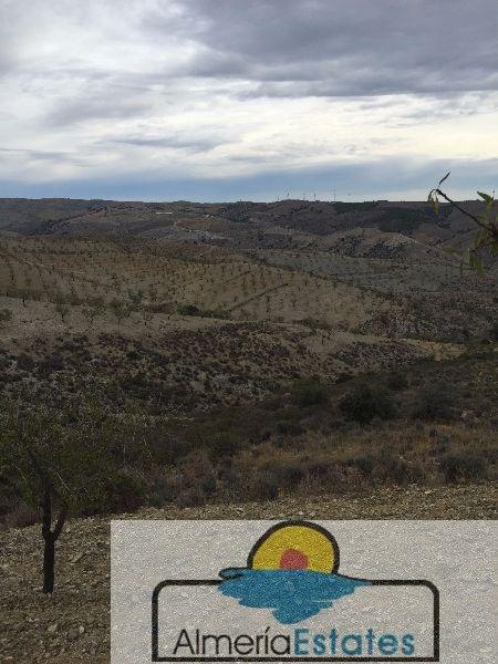 For sale of land in Vélez-Rubio