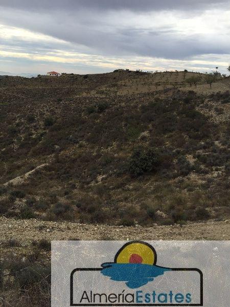 For sale of land in Vélez-Rubio