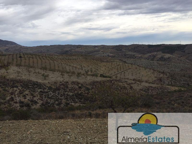 For sale of land in Vélez-Rubio
