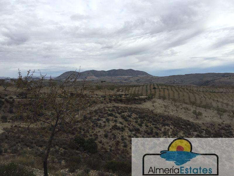 For sale of land in Vélez-Rubio