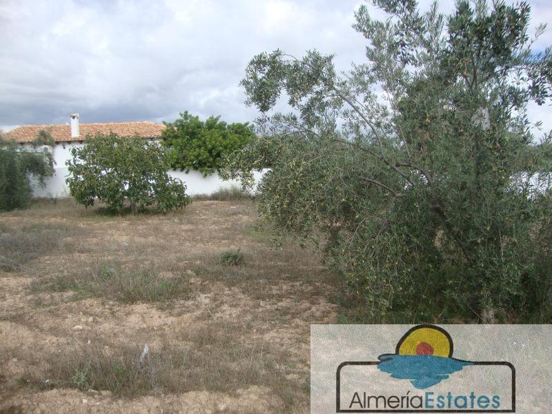 Venta de terreno en Albox