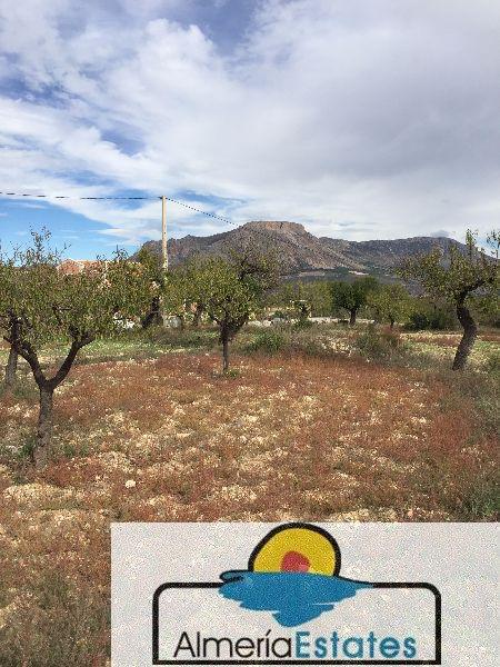 For sale of house in Vélez-Blanco