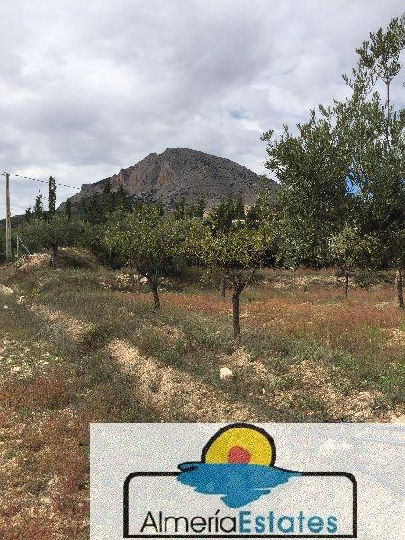 For sale of house in Vélez-Blanco