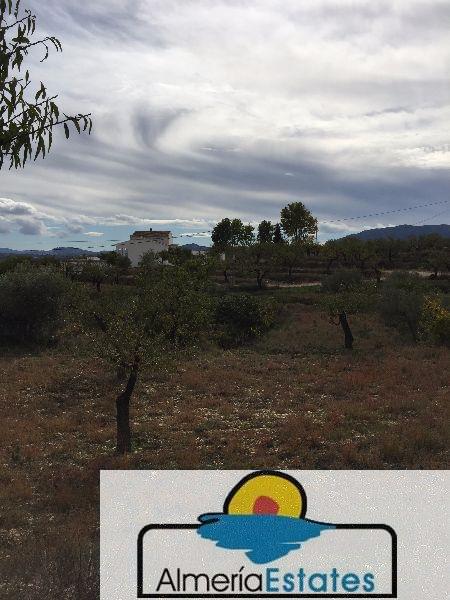 For sale of house in Vélez-Blanco