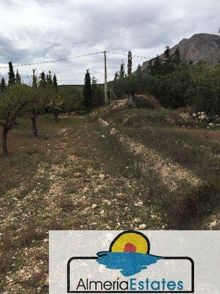 For sale of house in Vélez-Blanco