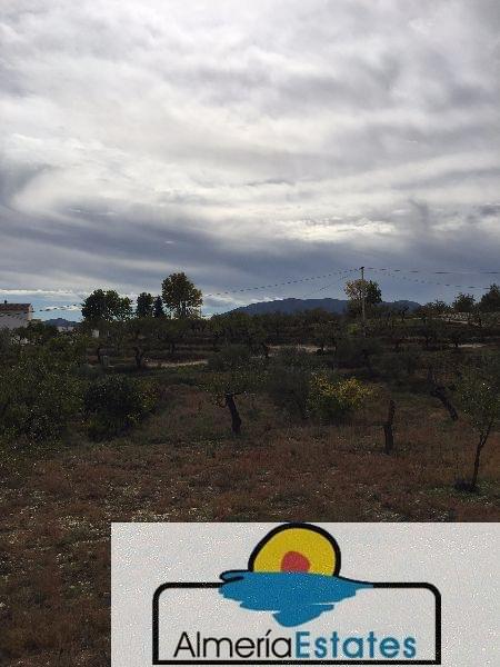 For sale of house in Vélez-Blanco