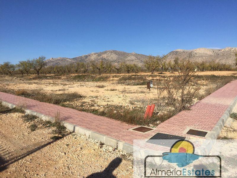 For sale of land in Chirivel