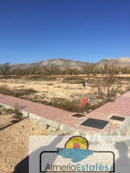 For sale of land in Chirivel