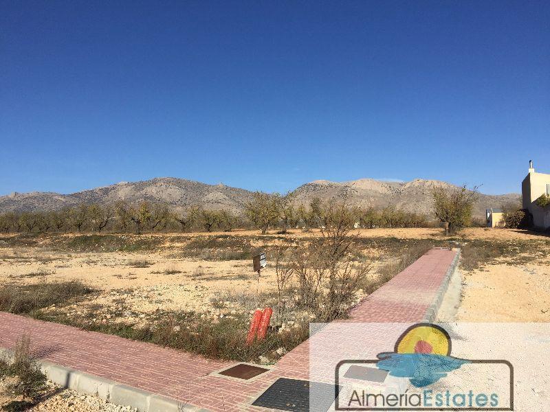 For sale of land in Chirivel