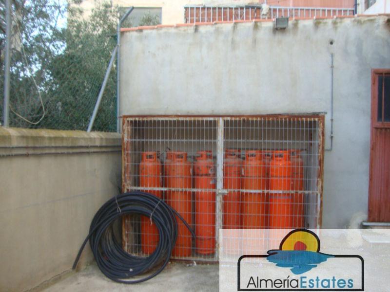 For rent of commercial in Albox