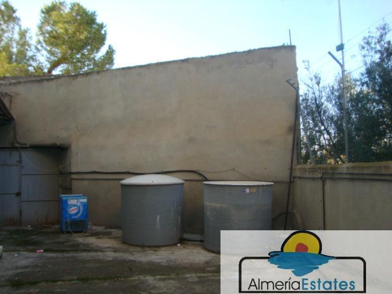 For rent of commercial in Albox
