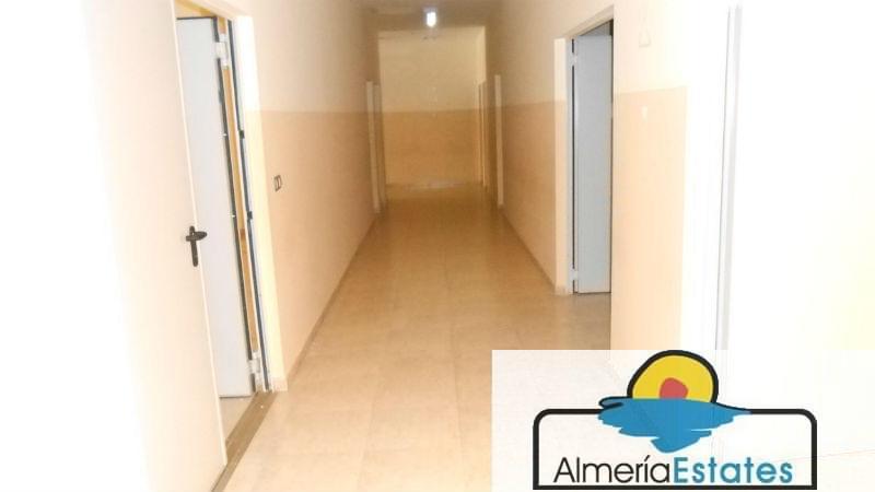 Alquiler de local comercial en Albox