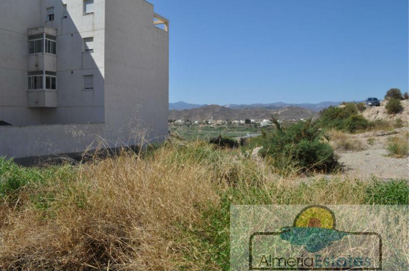 For sale of land in Albox