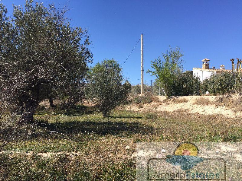 Venta de terreno en Vélez-Blanco