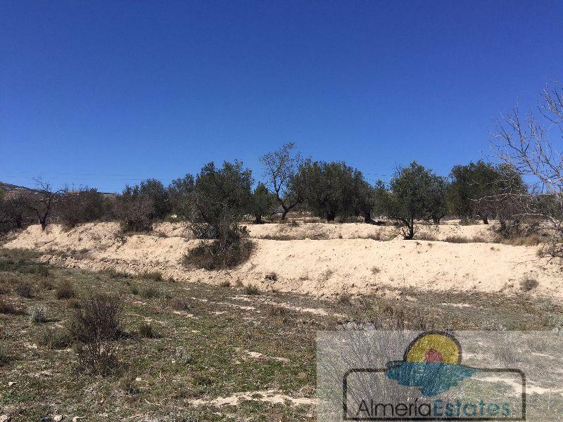 Venta de terreno en Vélez-Blanco
