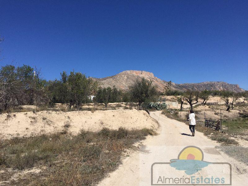 Venta de terreno en Vélez-Blanco