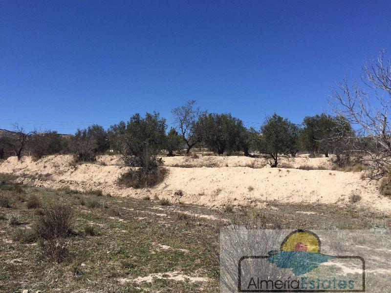 Venta de terreno en Vélez-Blanco