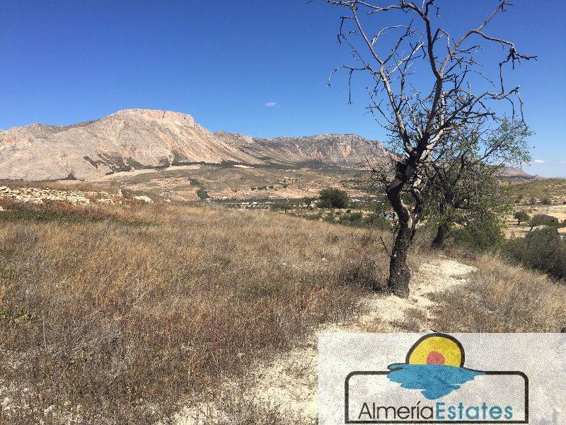 For sale of land in Vélez-Blanco