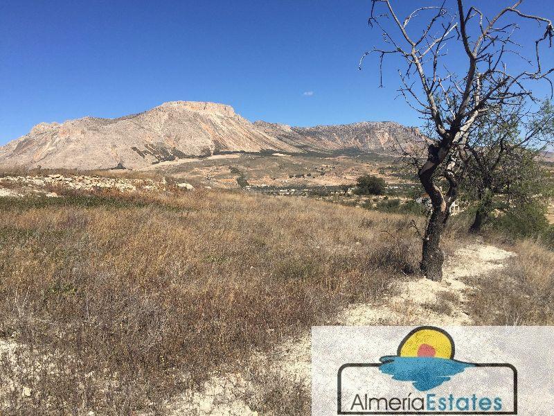 For sale of land in Vélez-Blanco