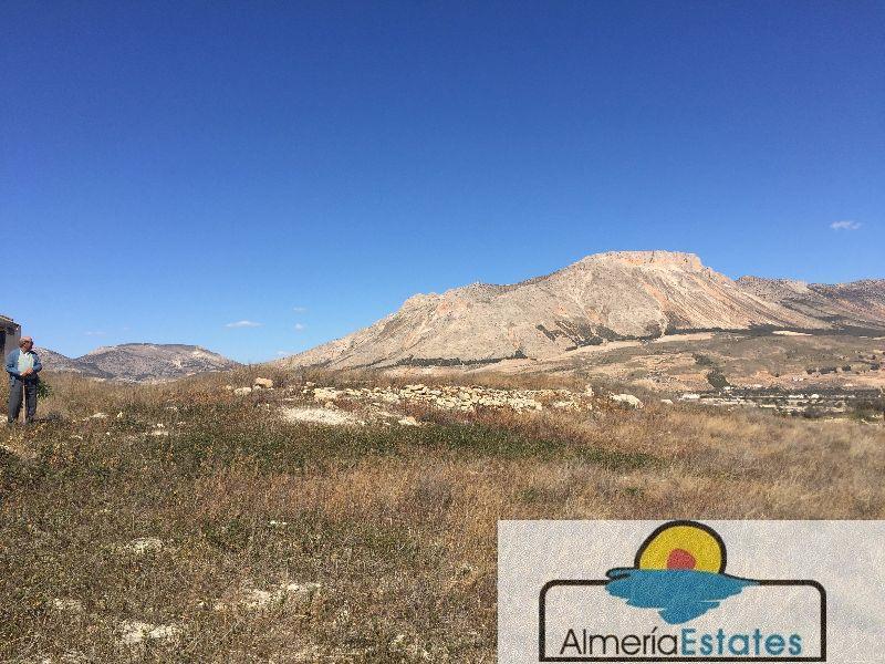 For sale of land in Vélez-Blanco