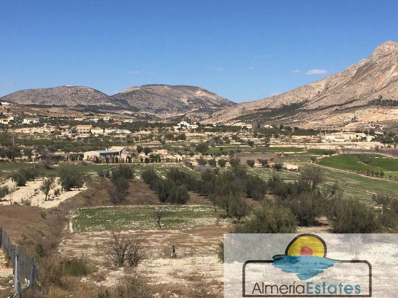 Venta de terreno en Vélez-Blanco