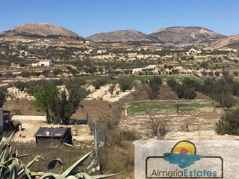 For sale of land in Vélez-Blanco