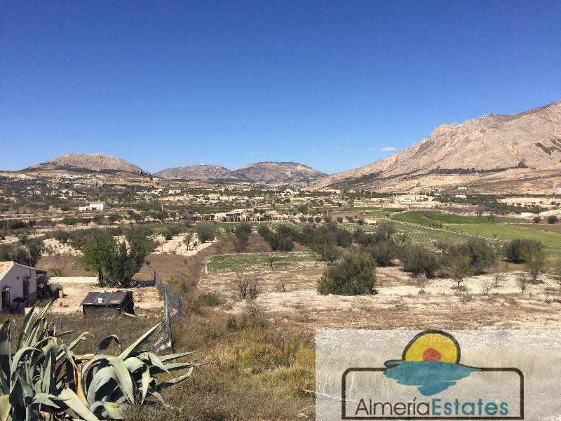 For sale of land in Vélez-Blanco