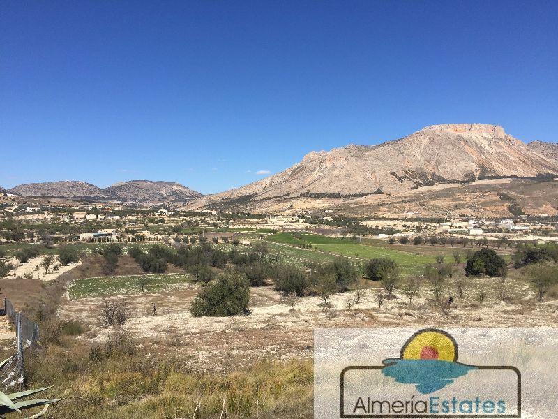 For sale of land in Vélez-Blanco