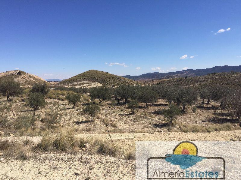 Venta de terreno en Vélez-Blanco