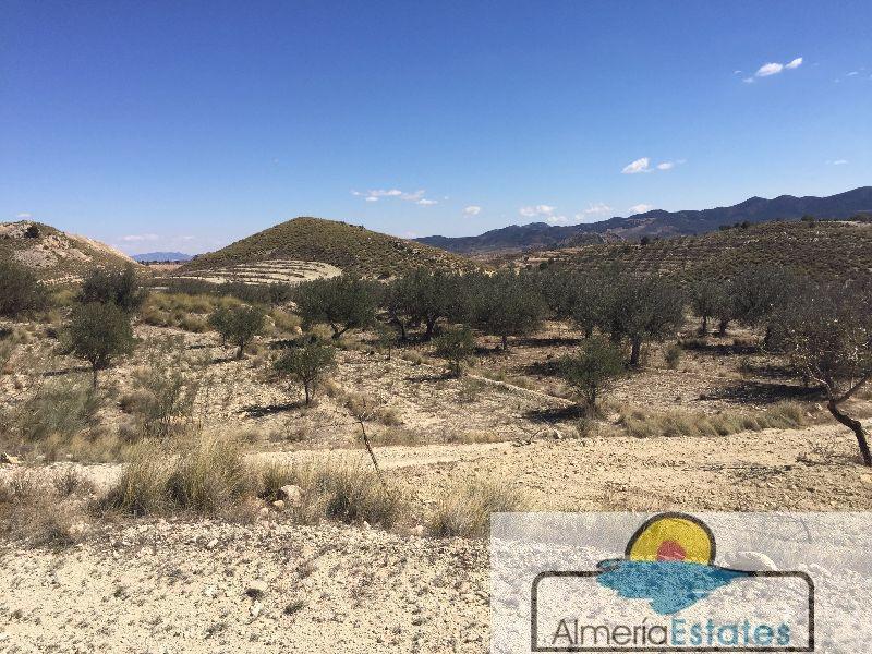 Venta de terreno en Vélez-Blanco