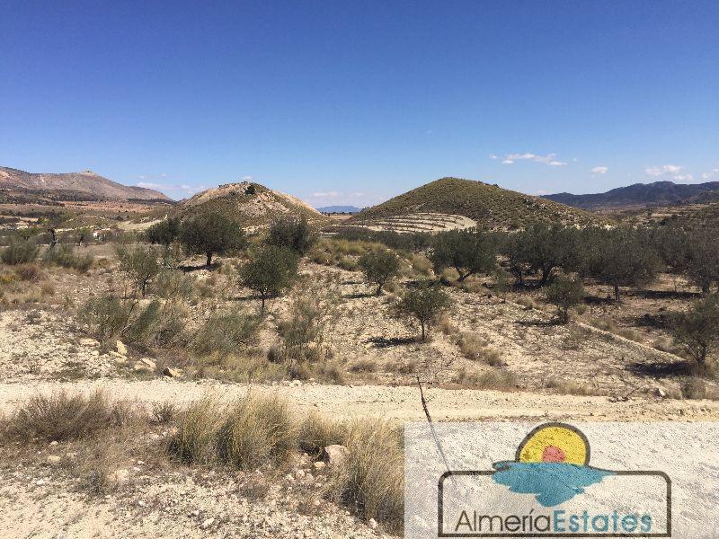 Venta de terreno en Vélez-Blanco