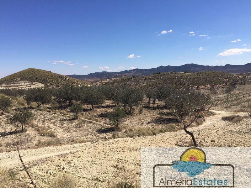 Venta de terreno en Vélez-Blanco