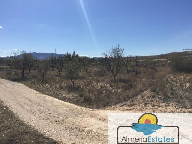Venta de terreno en Vélez-Blanco