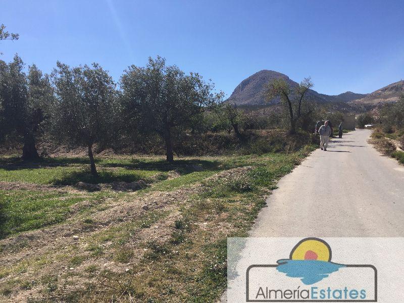Venta de terreno en Vélez-Blanco