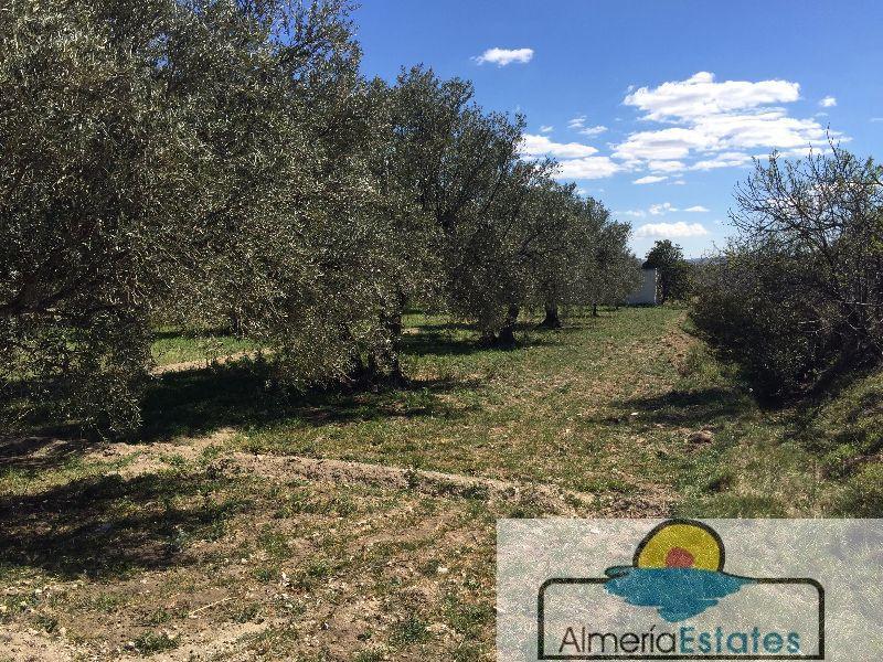 Venta de terreno en Vélez-Blanco