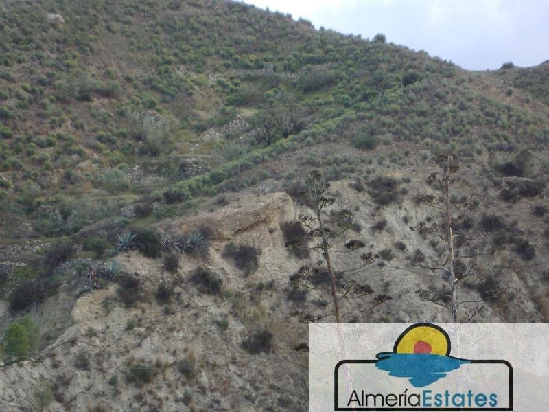 For sale of rural property in Arboleas