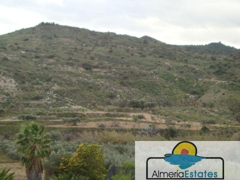 For sale of rural property in Arboleas