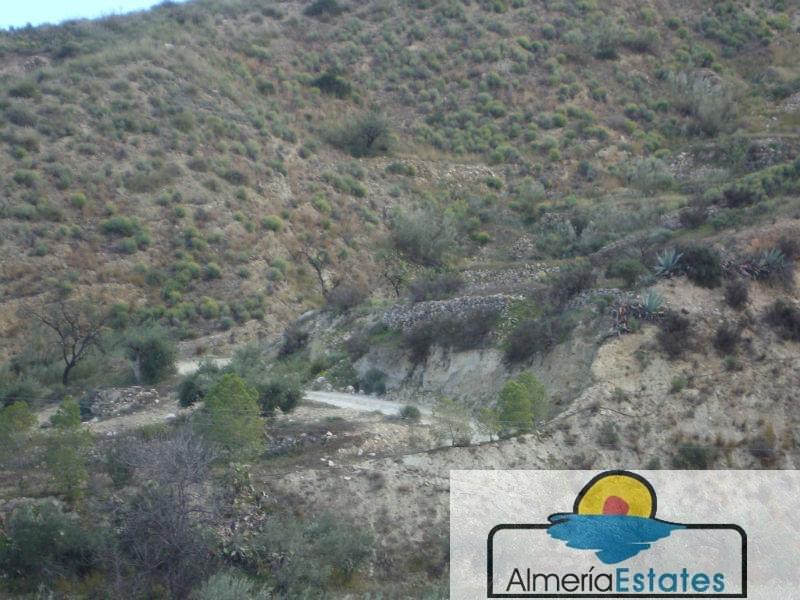 For sale of rural property in Arboleas