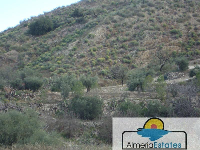 For sale of rural property in Arboleas