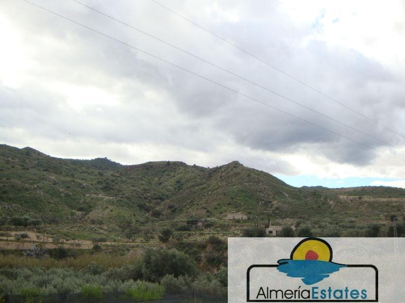 For sale of rural property in Arboleas