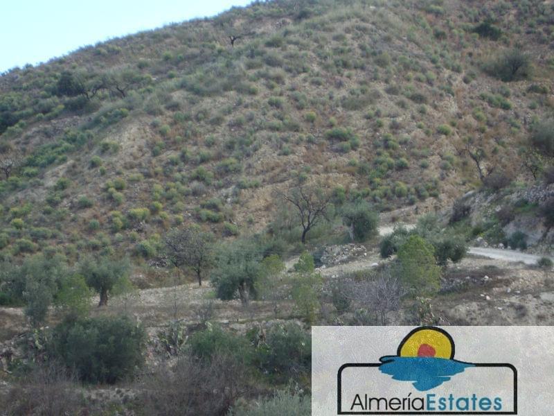 For sale of rural property in Arboleas