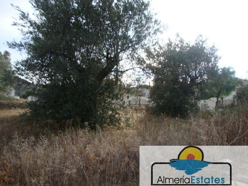 For sale of villa in Arboleas
