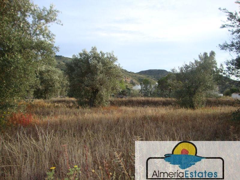 For sale of villa in Arboleas