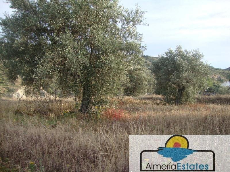 For sale of villa in Arboleas