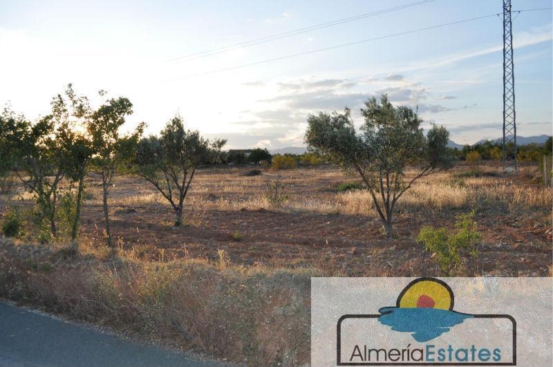 For sale of rural property in Albox