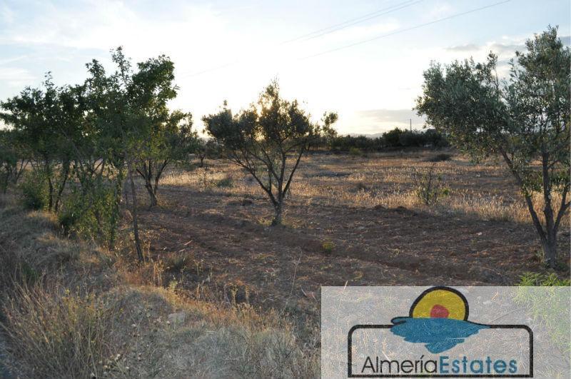 For sale of rural property in Albox