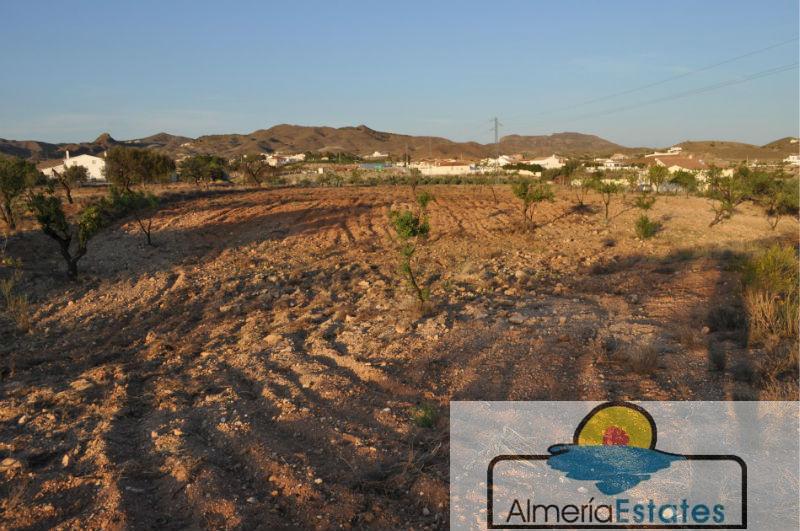 Venta de finca rústica en Albox