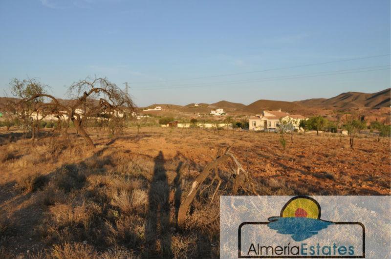 Venta de finca rústica en Albox